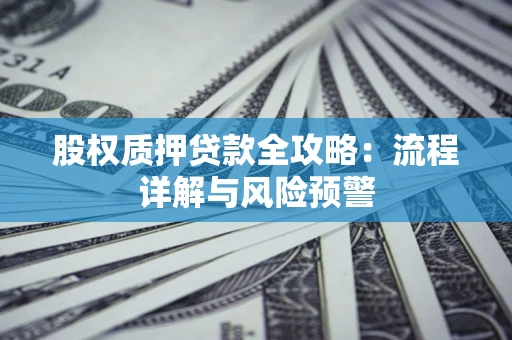 武汉股权质押贷款全攻略：流程详解与风险预警