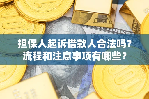 武汉担保人起诉借款人合法吗？流程和注意事项有哪些？