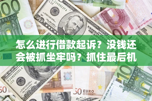 武汉怎么进行借款起诉？没钱还会被抓坐牢吗？抓住最后机会！