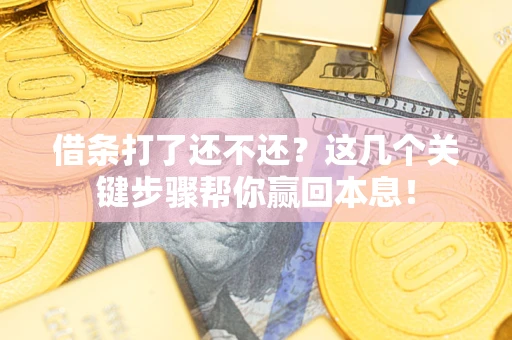 武汉借条打了还不还？这几个关键步骤帮你赢回本息！