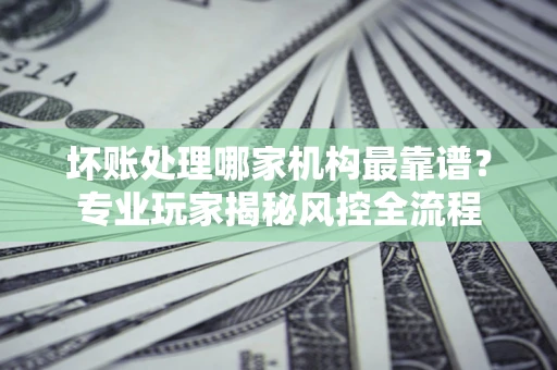 武汉坏账处理哪家机构最靠谱？专业玩家揭秘风控全流程