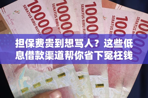 武汉担保费贵到想骂人？这些低息借款渠道帮你省下冤枉钱