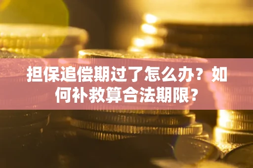 武汉担保追偿期过了怎么办？如何补救算合法期限？