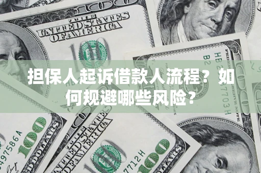 武汉担保人起诉借款人流程？如何规避哪些风险？