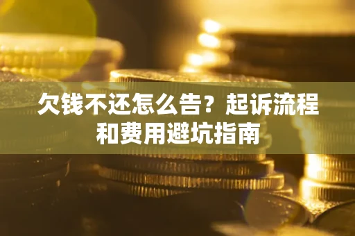 武汉欠钱不还怎么告?起诉流程和费用避坑指南 武汉欠钱不还怎么告?起诉流程和费用避坑指南