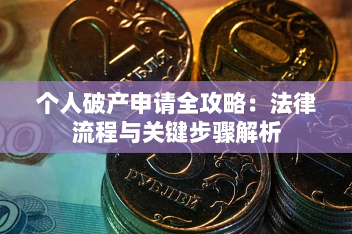 武汉个人破产申请全攻略：法律流程与关键步骤解析