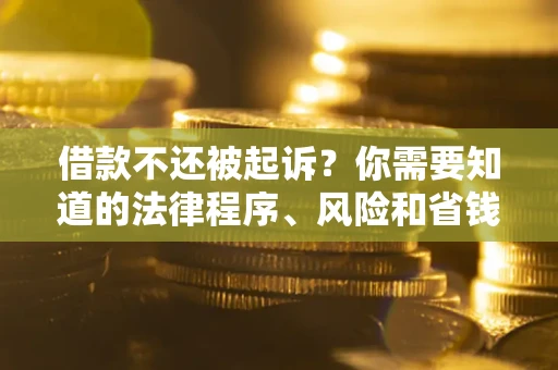 武汉借款不还被起诉？你需要知道的法律程序、风险和省钱技巧