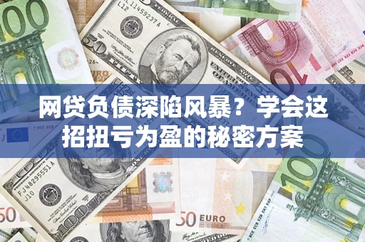 武汉网贷负债深陷风暴？学会这招扭亏为盈的秘密方案