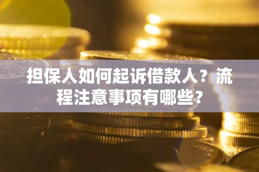武汉担保人如何起诉借款人？流程注意事项有哪些？